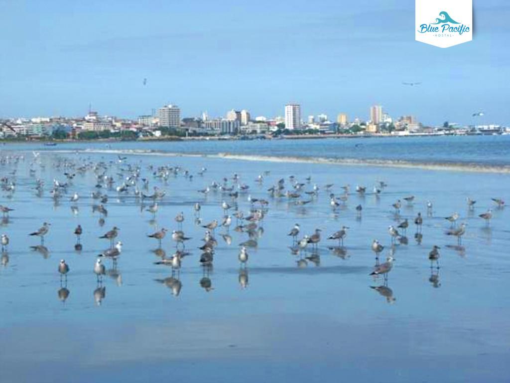 Hostal Blue Pacific Манта Екстер'єр фото